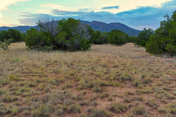 176 WAGON TRAIL RD, CERRILLOS, NM 87010, photo 2 of 35