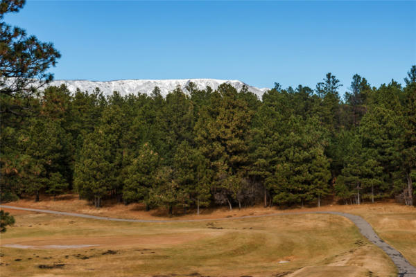 LOT 89 CALLE RETIRO, ROCIADA, NM 87742, photo 2 of 7