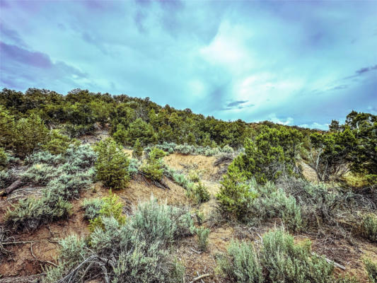 623A COUNTY ROAD 69, OJO SARCO, NM 87521 - Image 1