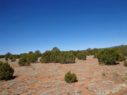 TRACT 1A CAMINO DEL SOL, BERNAL, NM 87569 - Image 1