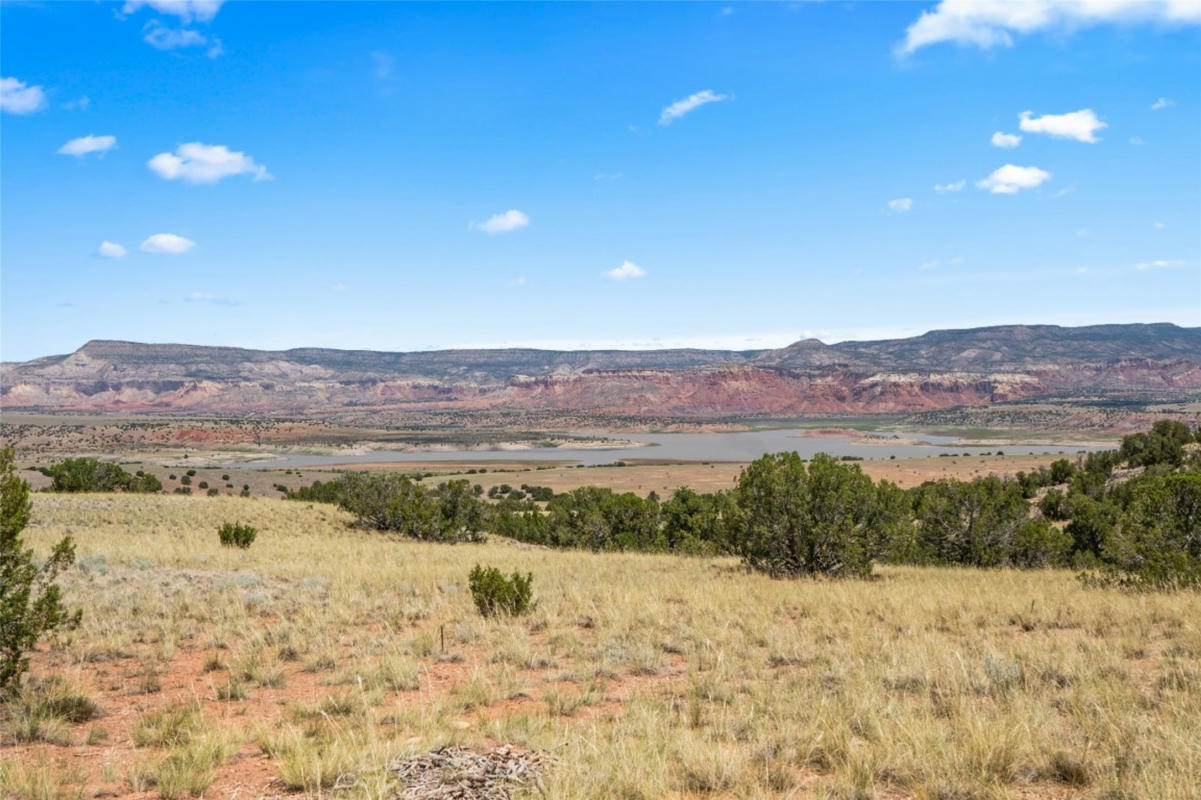 0 SHINING STONE, ABIQUIU, NM 87510, photo 1 of 21