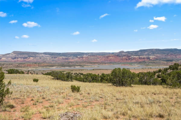 0 SHINING STONE, ABIQUIU, NM 87510 - Image 1