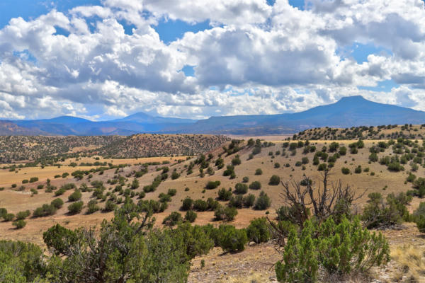 LOT 18 HIGH MESAS AT ABIQUIU 16.74 ACRES, YOUNGSVILLE, NM 87064, photo 2 of 24
