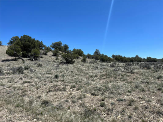 TBD BUENA VISTA ROAD, TIERRA AMARILLA, NM 87575, photo 5 of 18