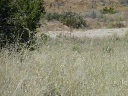 TRACT C LOT 4 OF FNRT, LOS LUCEROS, NM 87582, photo 2 of 8