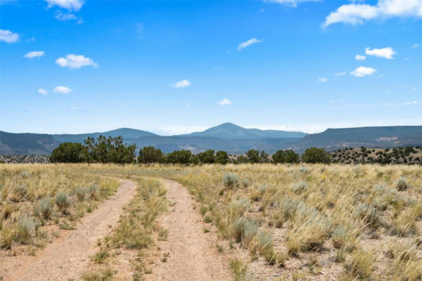 0 SHINING STONE, ABIQUIU, NM 87510, photo 5 of 21