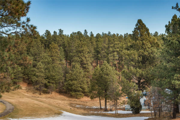 LOT 20 AVENIDA SECURIDAD, ROCIADA, NM 87742, photo 3 of 7