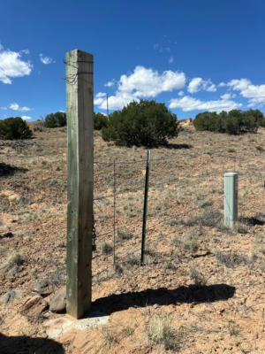 STATE ROAD 554 10.15 ACRE, MEDANALES, NM 87548, photo 2 of 9