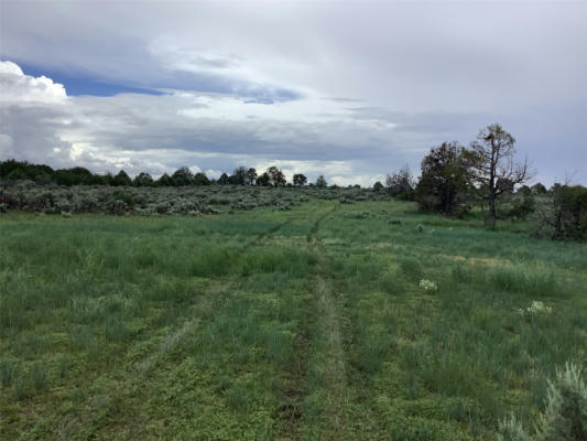 TBD COUNTY ROAD 77, TRUCHAS, NM 87578 - Image 1