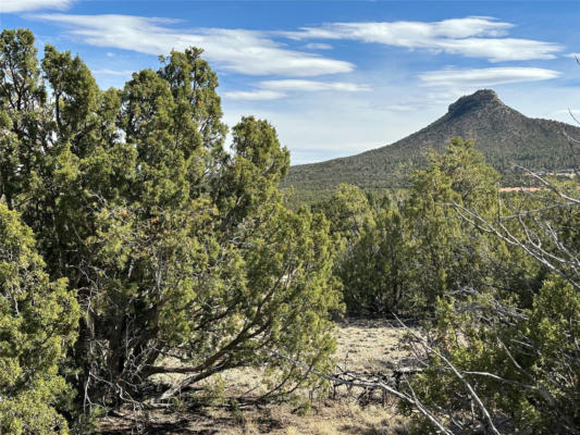 5.045 ACRES FRONXTAGE RD 2116, SERAFINA, NM 87569 - Image 1