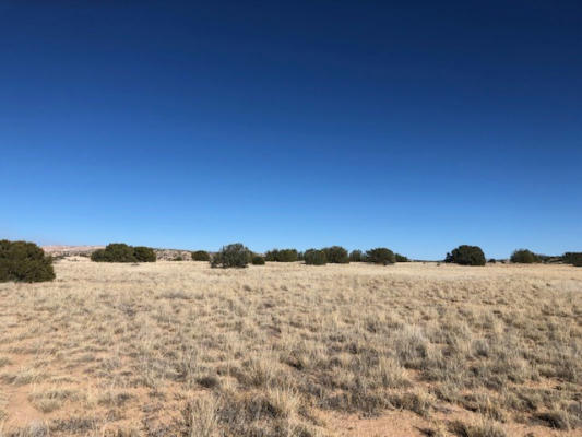 0.6 ACRE BUFFALO TRAIL, ABIQUIU, NM 87510 - Image 1