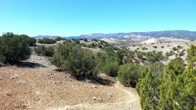 691 COUNTY ROAD 142, MEDANALES, NM 87548, photo 3 of 72