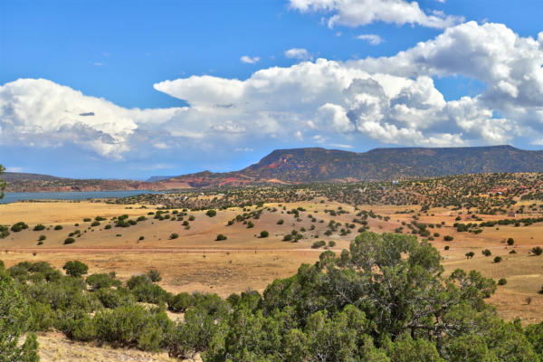 LOT 18 HIGH MESAS AT ABIQUIU 16.74 ACRES, YOUNGSVILLE, NM 87064, photo 4 of 13