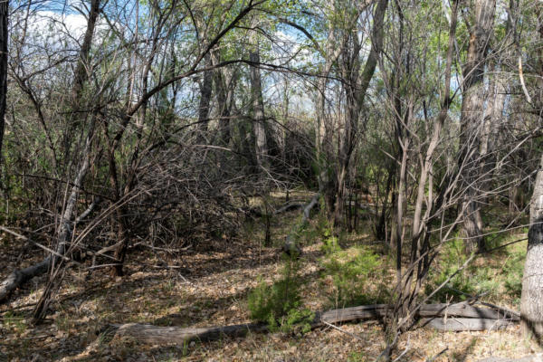 99 ACRES ROGERSVILLE, CERRILLOS, NM 87010, photo 5 of 18