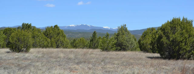 LOT 2B CAMINO REAL LOOP, PECOS, NM 87552, photo 5 of 24