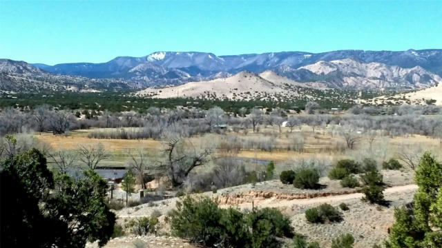 691 COUNTY ROAD 142, MEDANALES, NM 87548, photo 2 of 72