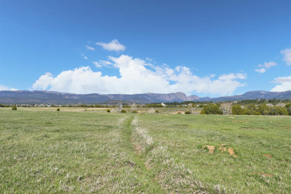 TBD STATE ROAD 95, LOS OJOS, NM 87551, photo 4 of 9