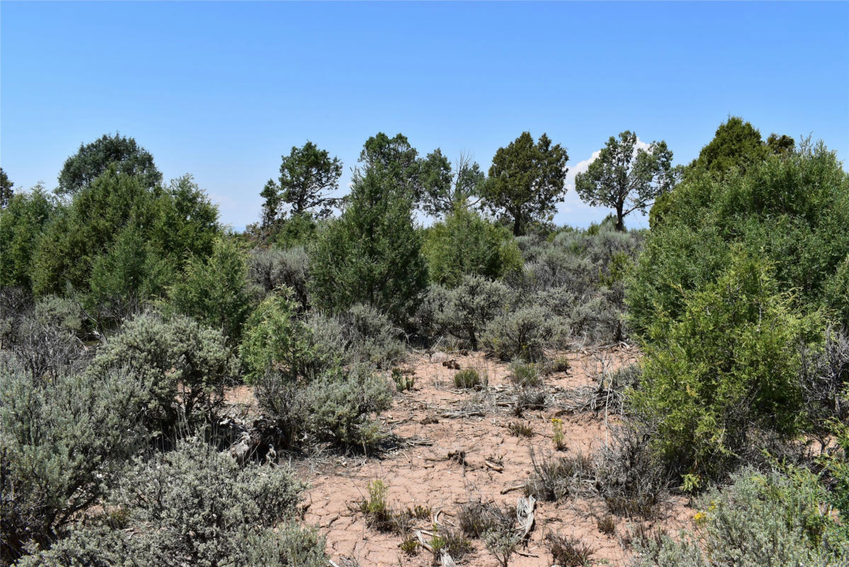 TRACT 3 CR 77, TRUCHAS, NM 87537, photo 1 of 3