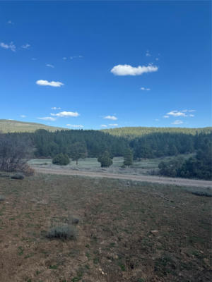 TBD INDIAN MEADOW, CHAMA, NM 87520 - Image 1