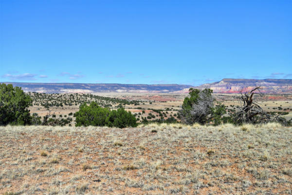 LOT 7 HIGH MESAS AT ABIQUIU 21.08 ACRES, YOUNGSVILLE, NM 87064, photo 3 of 13