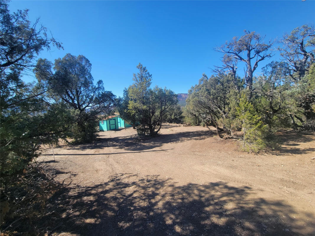 BLOCK 8 LOT 3, RUTHERON, NM 87575, photo 1 of 23