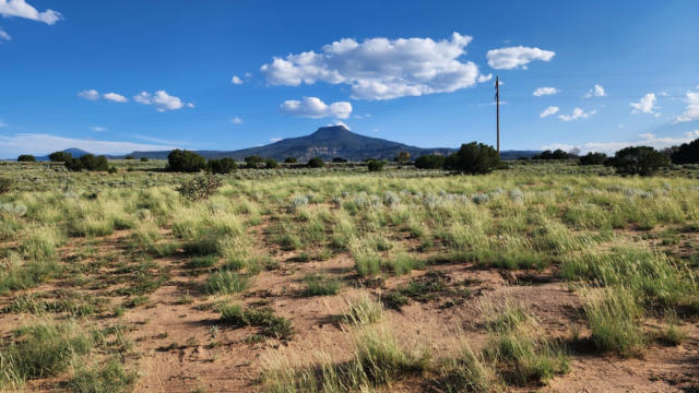 24 PRIVATE DRIVE 1725, YOUNGSVILLE, NM 87064 - Image 1