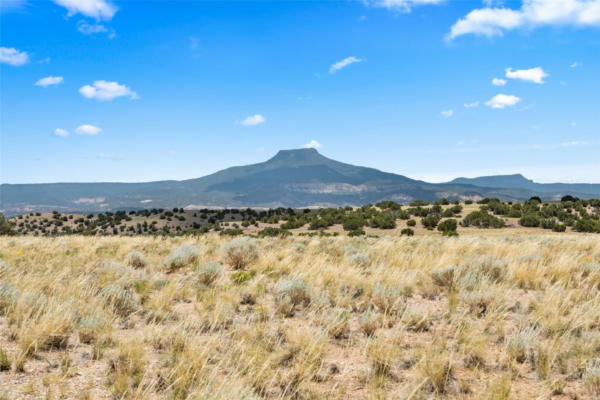 0 SHINING STONE, ABIQUIU, NM 87510, photo 2 of 21