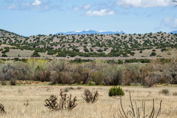 561 GENERAL GOODWIN RD, CERRILLOS, NM 87010, photo 3 of 19