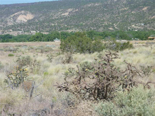 TRACT C C-1-A-1-A OF COTTONWOOD, LOS LUCEROS, NM 87582, photo 3 of 14