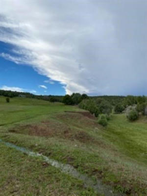 LOT VALLECITO, CHAMISAL, NM 87521, photo 5 of 10