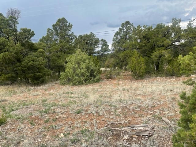 LOT 2 TRACT 1B COYOTE CHASE, ROWE, NM 87562, photo 1 of 15