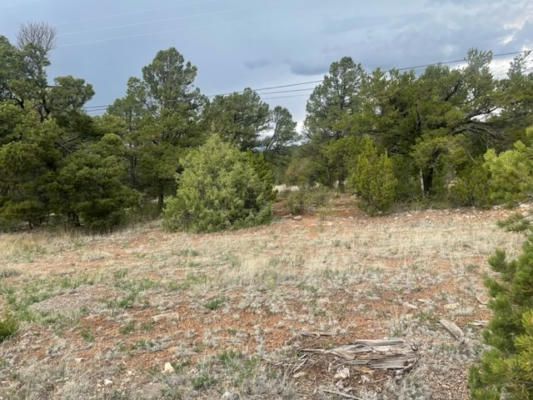 LOT 2 TRACT 1B COYOTE CHASE, ROWE, NM 87562 - Image 1