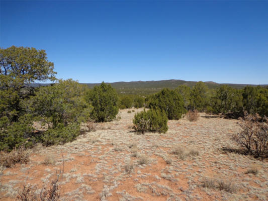 TRACT 1B CAMINO DEL SOL, BERNAL, NM 87569 - Image 1