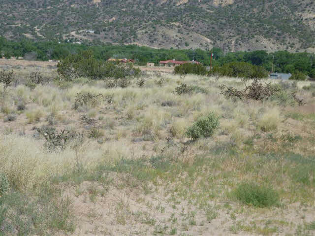 TRACT C C-1-A-1-A OF COTTONWOOD, LOS LUCEROS, NM 87582, photo 1 of 14
