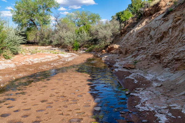 99 ACRES ROGERSVILLE, CERRILLOS, NM 87010, photo 2 of 18