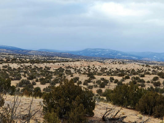 00 TRACT 122 EL RITO ESTATES, ABIQUIU, NM 87510 - Image 1