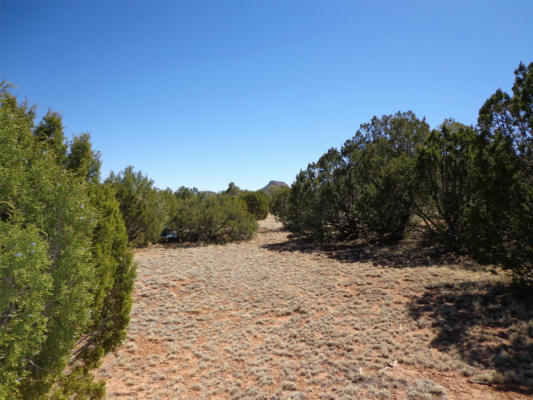 TRACT 2B CAMINO DEL SOL, BERNAL, NM 87569 - Image 1