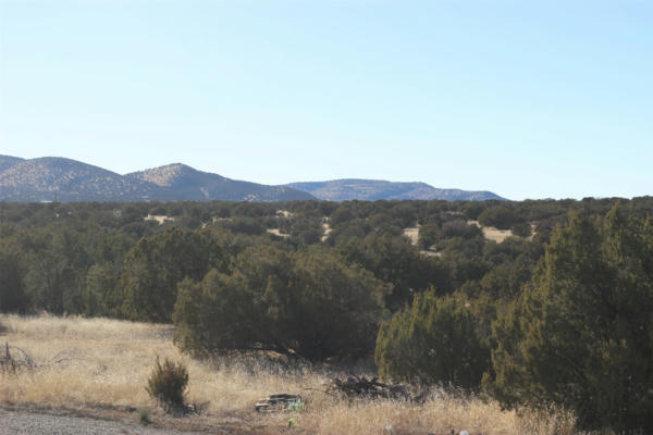 83 GRENFELL RANCH RD, CERRILLOS, NM 87010, photo 4 of 25