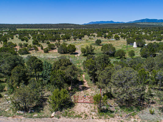 36 FOREST ROAD 321, ESTANCIA, NM 87016, photo 4 of 12