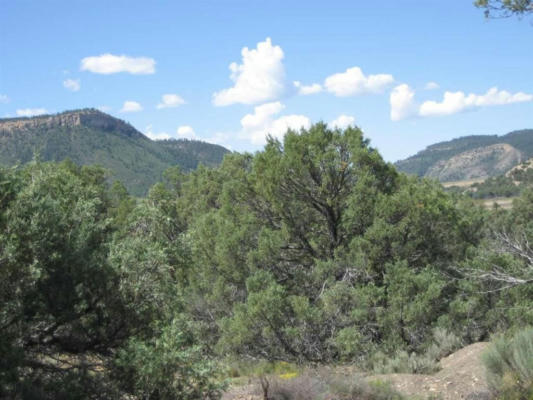 BLOCK 8 LOT 3, RUTHERON, NM 87575, photo 5 of 23