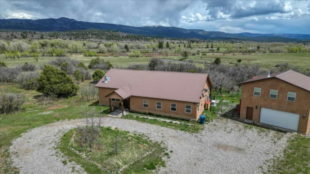 2528 DOS RIOS DR, CHAMA, NM 87520, photo 2 of 84