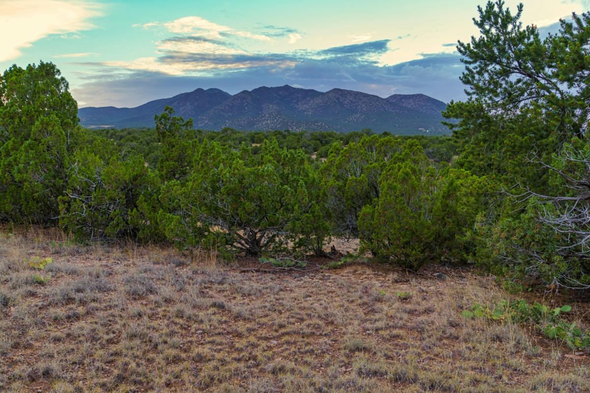 176 WAGON TRAIL RD, CERRILLOS, NM 87010, photo 1 of 35