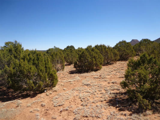 TRACT 2A CAMINO DEL SOL, BERNAL, NM 87569 - Image 1