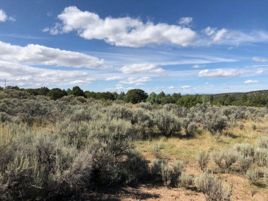 6 ONE ACRE LOTS NM 76, TRUCHAS, NM 87578, photo 2 of 29