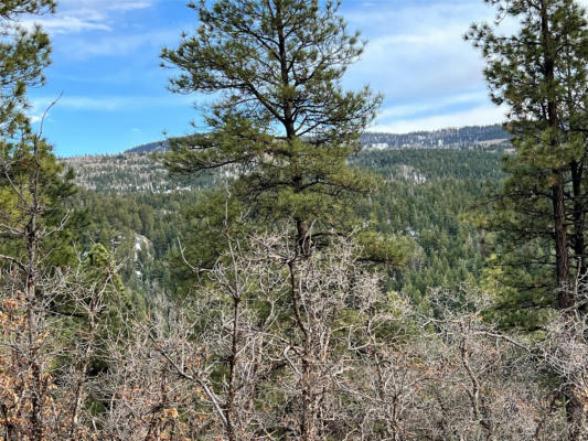 LOT R-56 PRIVATE DR, CHAMA, NM 87520, photo 4 of 4