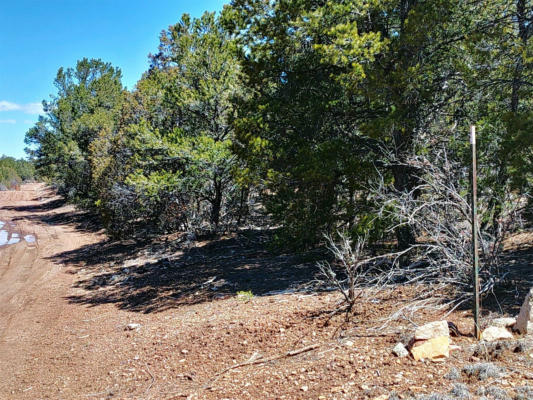 LOT 35 MIDDLE ROAD, QUESTA, NM 87556, photo 2 of 10