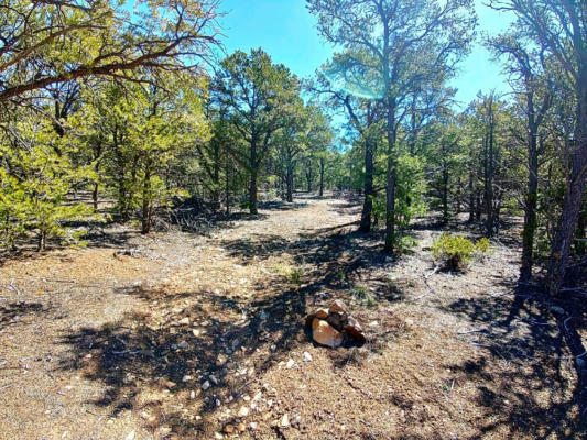LOT 35 MIDDLE ROAD, QUESTA, NM 87556, photo 3 of 10
