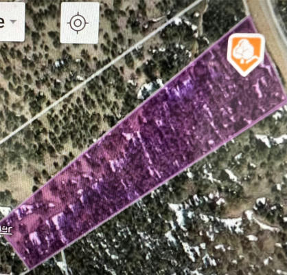 1.21 ACRES OFF OF CR 69, OJO SARCO, NM 87521 - Image 1