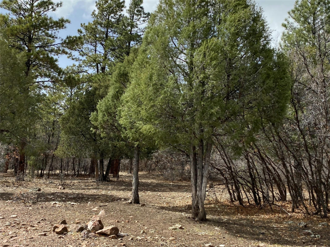 PRIVATE DRIVE 1754 BLK 2 LOT 24, CHAMA, NM 87520, photo 1 of 10
