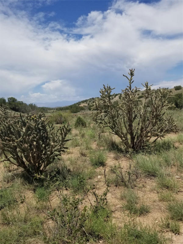 154 PASEO SUDESTE, CERRILLOS, NM 87010, photo 1 of 3